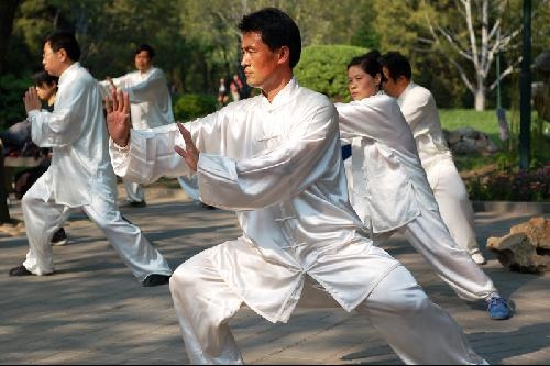 太极拳基本动作,太极拳动作,太极拳动作图(第5页)_大山谷图库