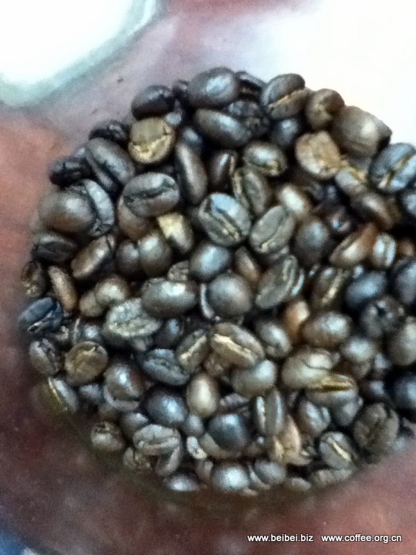老咖啡同学用贝贝一号咖啡烘焙机烘焙的云南咖啡豆 贝贝一号 