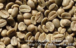 从咖啡豆说起（10）——美洲——牙买加 - ida - 浪漫咖啡小屋