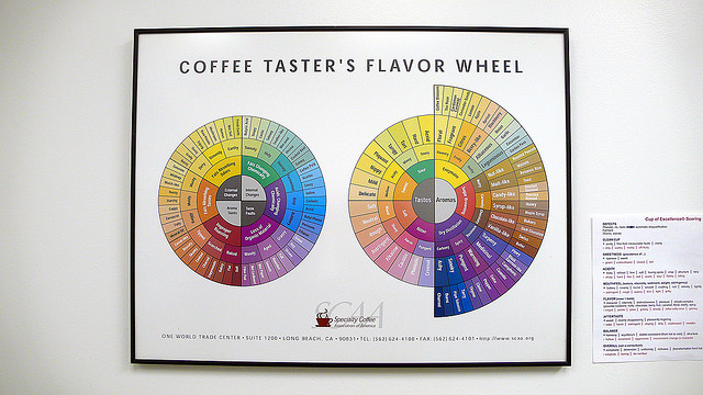  SCAA的咖啡风味轮（Coffee Taster\s Flavor Wheel）